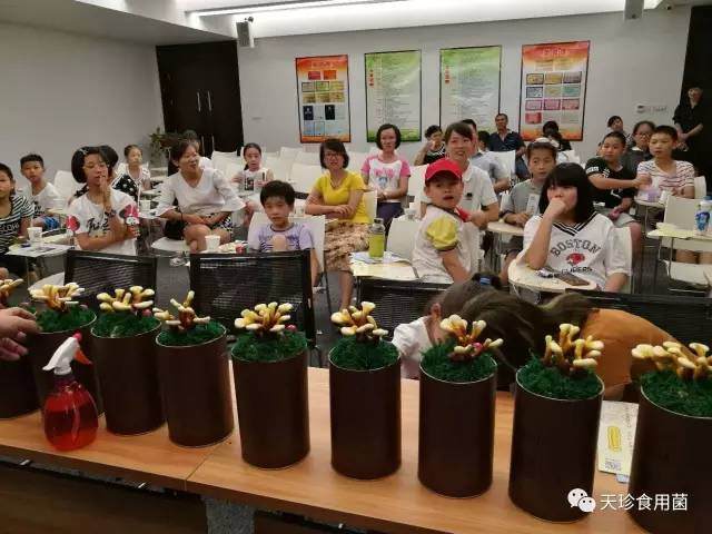 小朋友认养活体灵芝盆景夏令营顺利举办