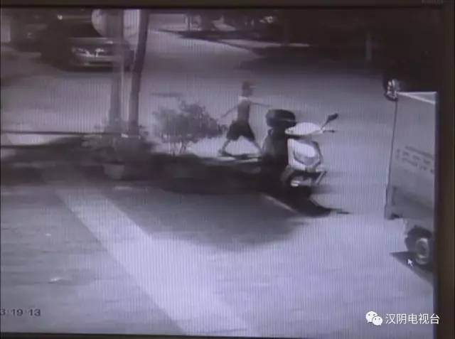 父亲偷盆景 儿子路边放风 果真应了那句上阵父子兵