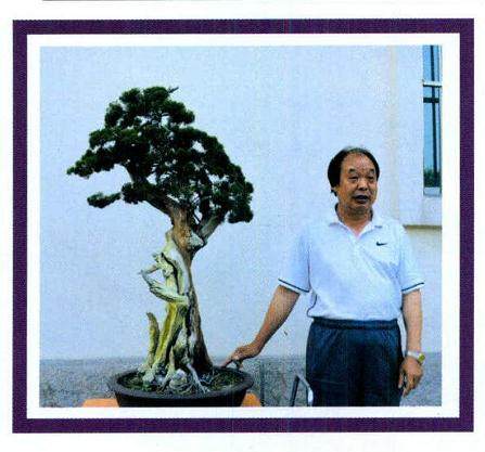 青州盆景艺术家--齐向国