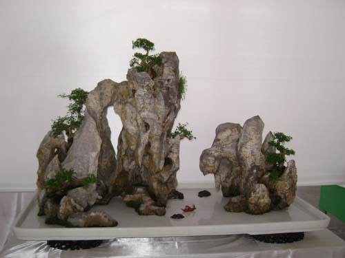 安徽省著名的盆景家和作品