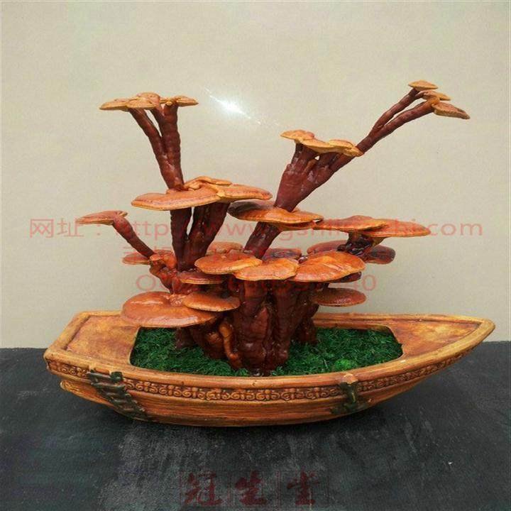 观赏灵芝盆景造型制作研究