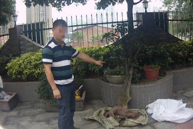 盗窃所得的黑塔子市场价2万余元 案件正在进一步侦办中