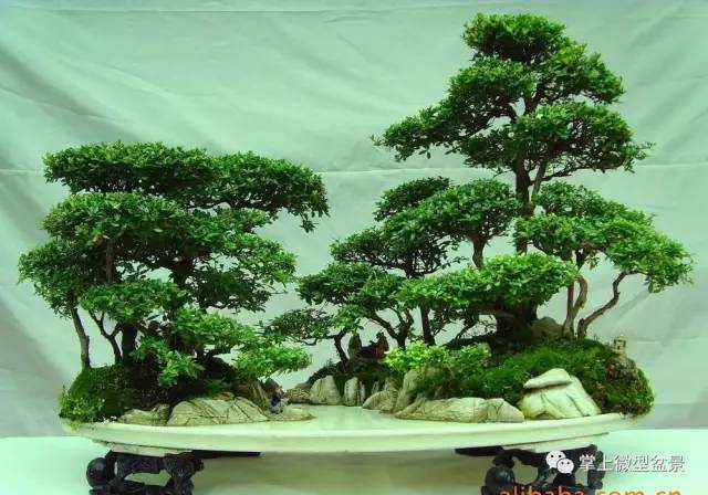 山水盆景的立意有两种情况