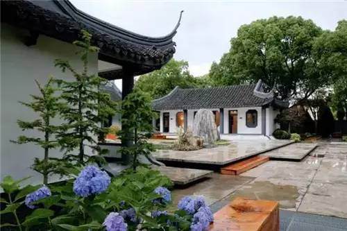 意大利老板的盆景欣赏