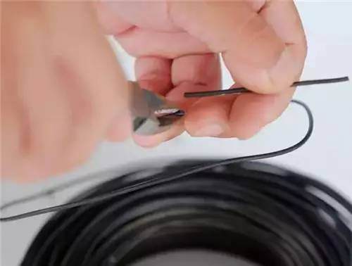 意大利园艺师向我们粗略展示了修剪盆盆景的手法