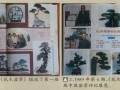 1988年5月 花木盆景刊授学校正式成立