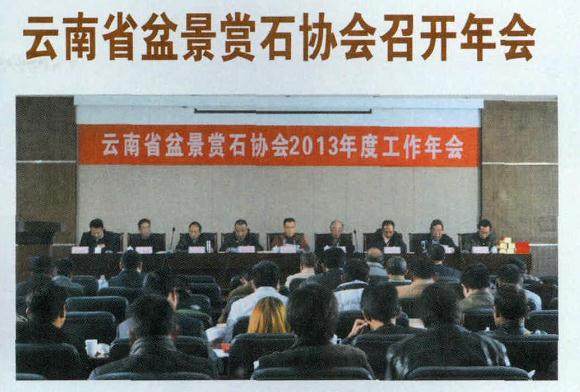 2013年云南盆景赏石协会召开年会