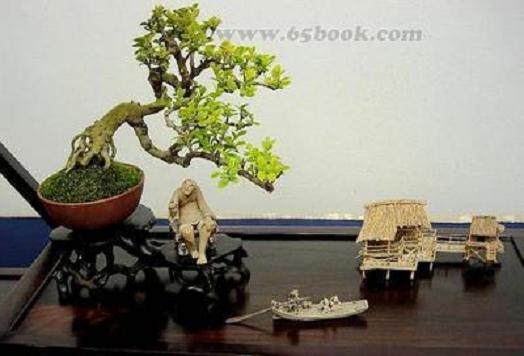 厦门举办迎春盆景雅石书画展