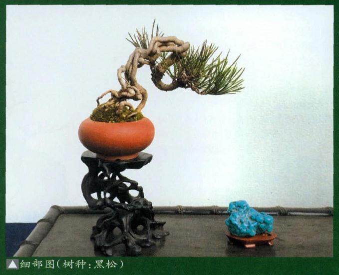 微型盆景虽一手可托，却能展现名山大川之景！