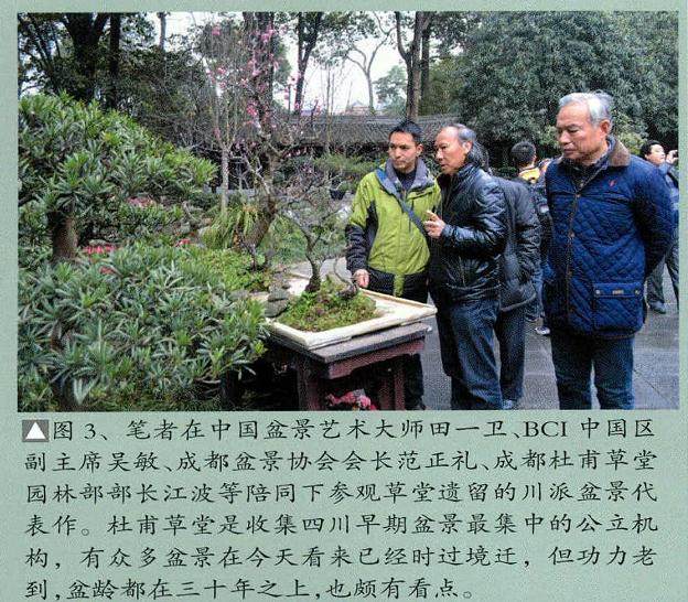 川派盆景的今日或许只是被片面理解或模仿！