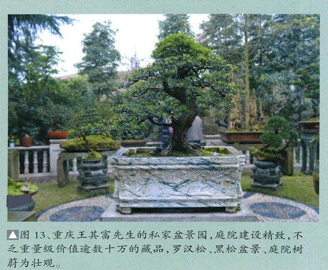 川派盆景的今日或许只是被片面理解或模仿！