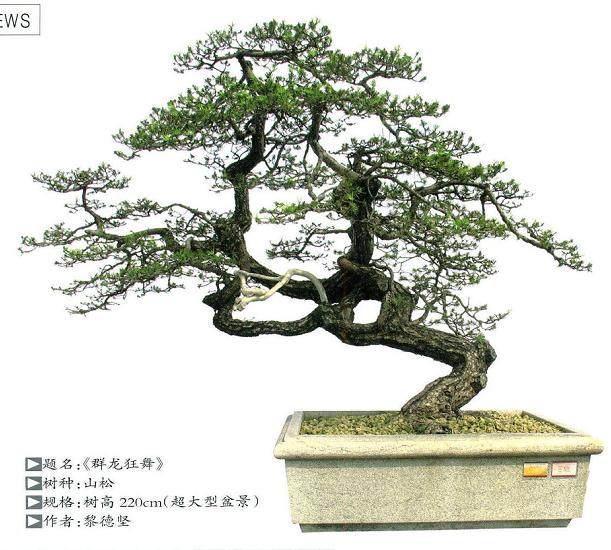 第十届粤港澳台盆景艺术博览会筹备会议在东莞真趣园召开