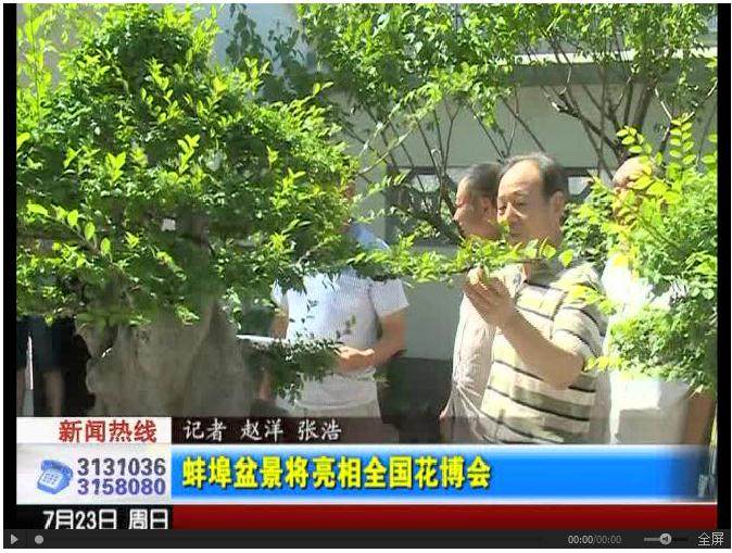 蚌埠盆景将亮相全国花博会