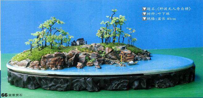 树石盆景与水旱盆景的区别