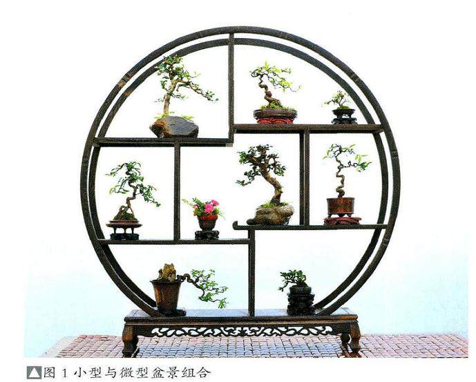盆景作品趋向小型化、微型化是盆景从庭院进入家庭的必然