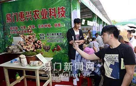  &ldquo;菌交会&rdquo;结束，有人却把菌子搬回家当作盆景！