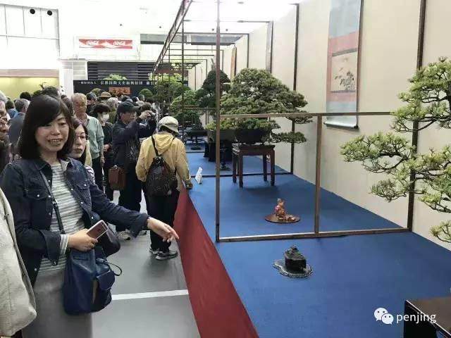 《武陵盆景·赏石图典》作品征集