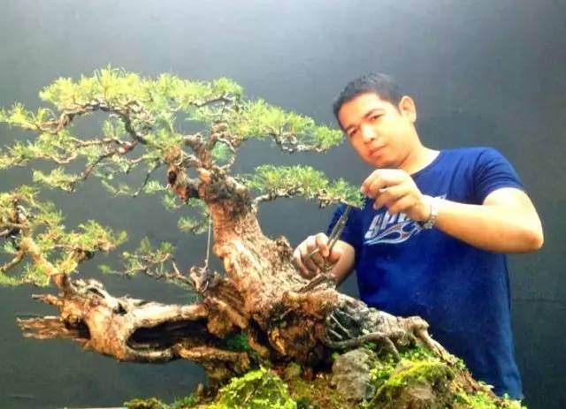 第四届中国风盆景展将在如皋盛大举行