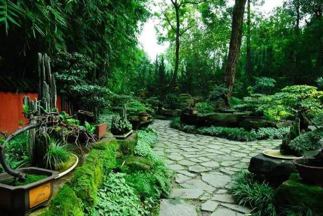 川派盆景是中国盆景五大流派之一