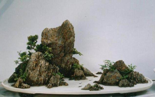 三门盆景村，目前从事盆景栽培的有200多户 投资400万元