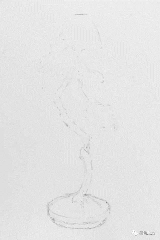 盆景速写教学示范