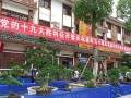 首届均州老街杯大型盆景根艺展览