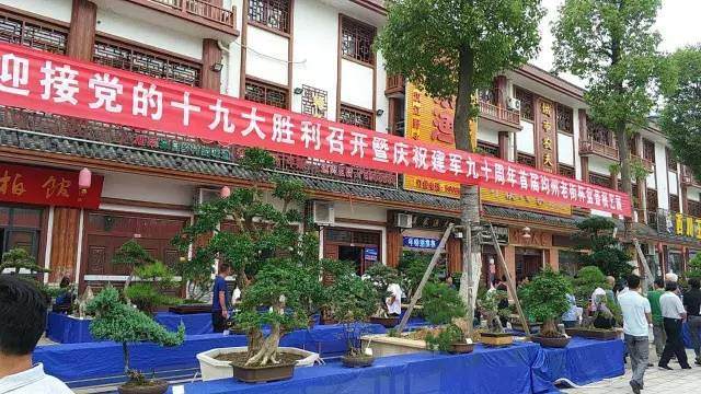 首届均州老街杯大型盆景根艺展览?隆重开幕!