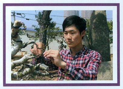 90后湖北盆景艺术家-王凡