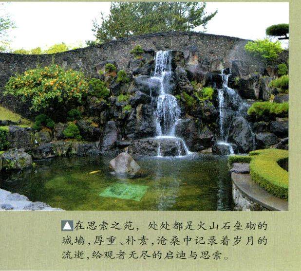 浙江省宁波盆景协会前往韩国考察!