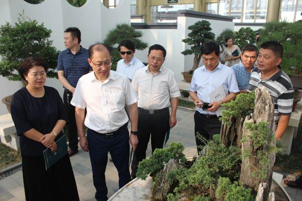 常州市人大领导考察如皋花木盆景产业