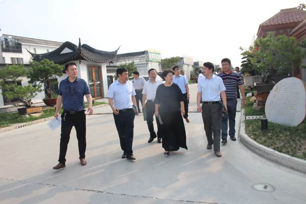 常州市人大领导考察如皋花木盆景产业