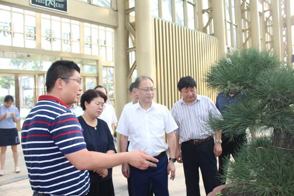常州市人大领导考察如皋花木盆景产业