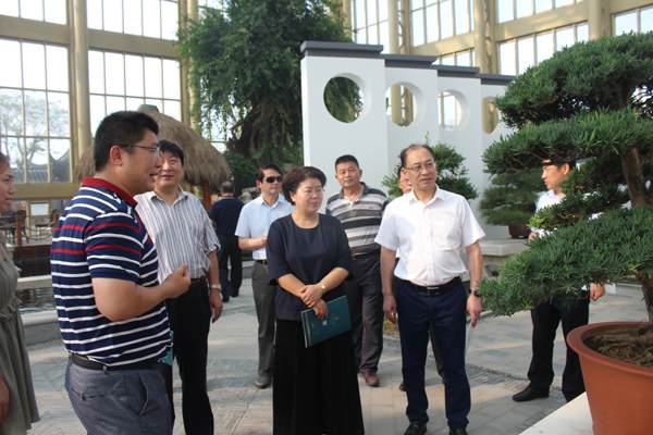 常州市人大领导考察如皋花木盆景产业