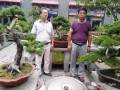 观肖辉光总规划师拜会盆景艺术大师刘泾沅
