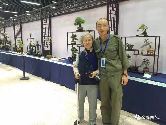 2016年第三届中国风盆景展在上海植物园隆重举办