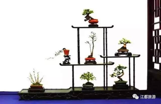 扬派盆景根据制作材料的不同 可分为树桩和山石两类