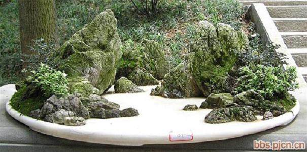 重庆市第八届盆景展成功举办