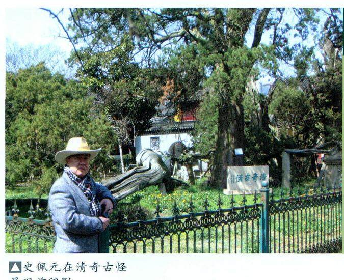 2010年日本盆景大怖小林国雄来苏州