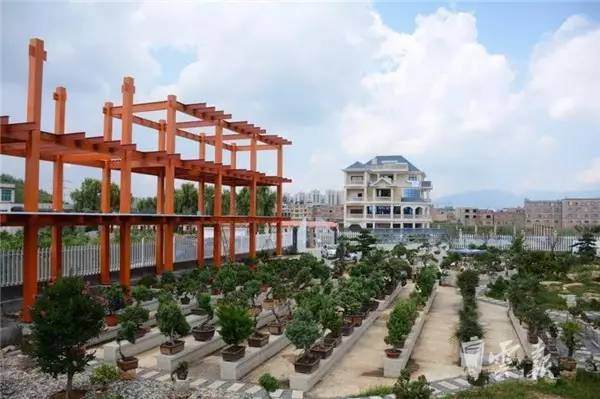 昭通白虎山花卉盆景主题庄园