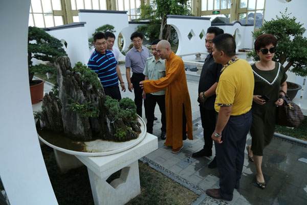 北京和平寺方丈德禅大师到江苏如皋考察花木盆景产业