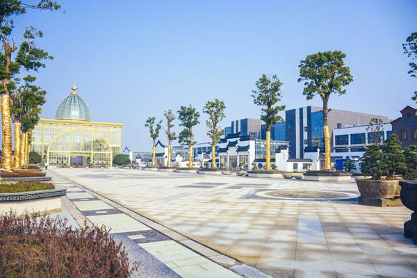 北京和平寺方丈德禅大师到江苏如皋考察花木盆景产业