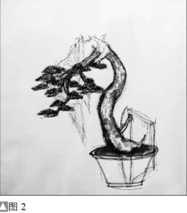 图解 黑松盆景怎么设计制作的方法