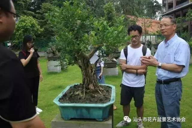 汕头市花卉盆景艺术协会