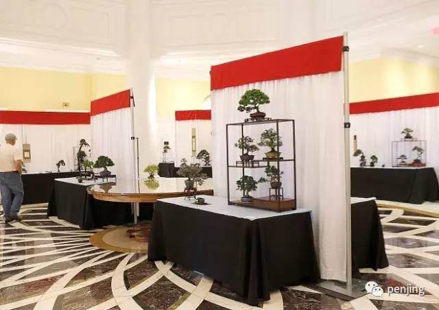 2017年美国国家微型盆景展