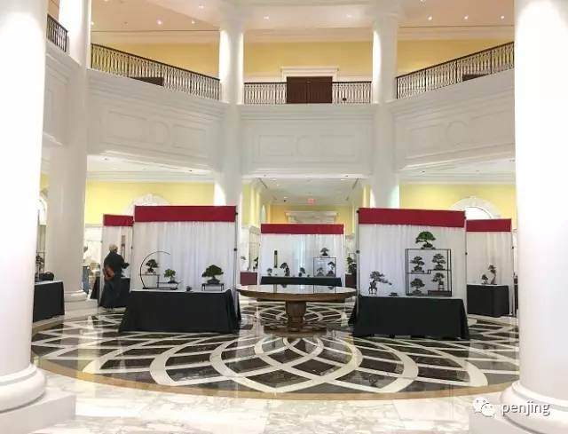 2017年美国国家微型盆景展