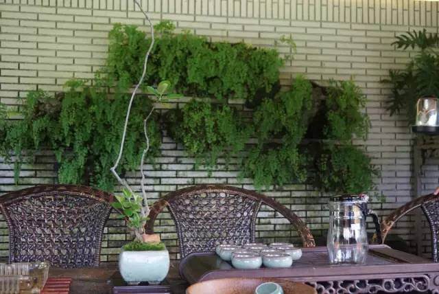 岭南盆景口述史暑期工作坊回顾