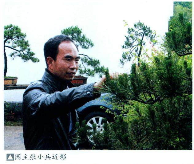  小兵盆景园位于安徽省绩溪县临溪镇