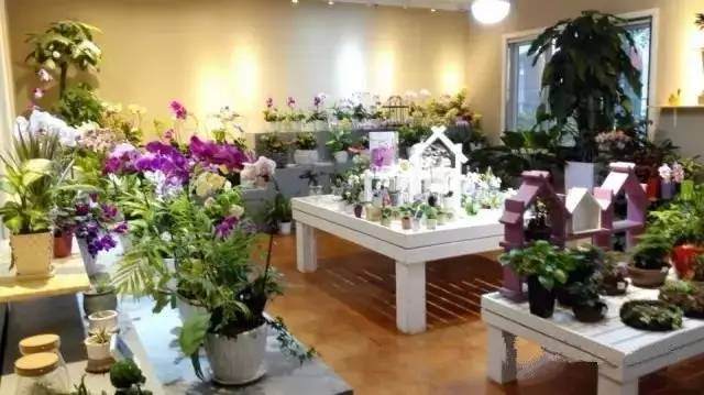 活动招募 | “微景观花艺师”苔藓盆景萌萌哒~