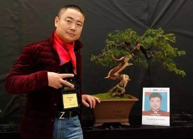 第四届中国风盆景展邀请嘉宾&mdash;&mdash;龙飙