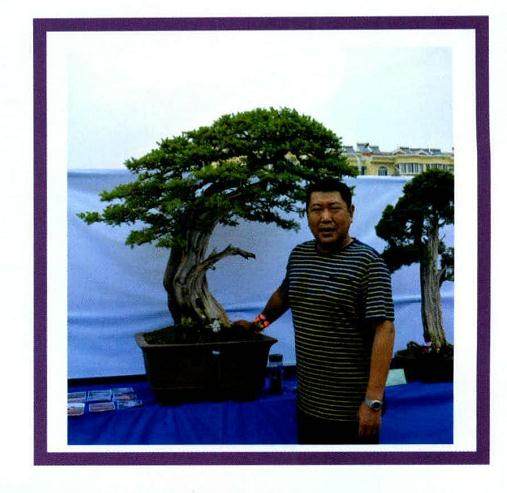 安徽盆景艺术家-许辉